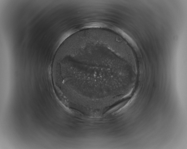 X0000115481329200911131207