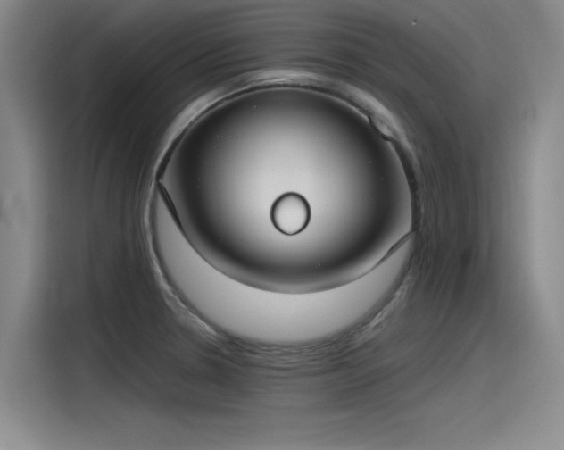 X0000115481330200911131207