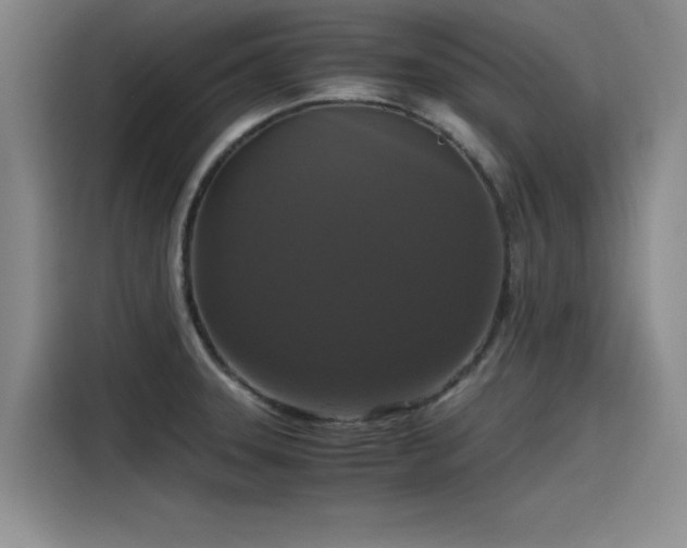 X0000115481331200911131207