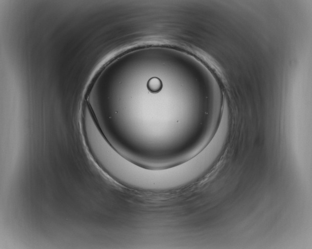 X0000115481334200911131207