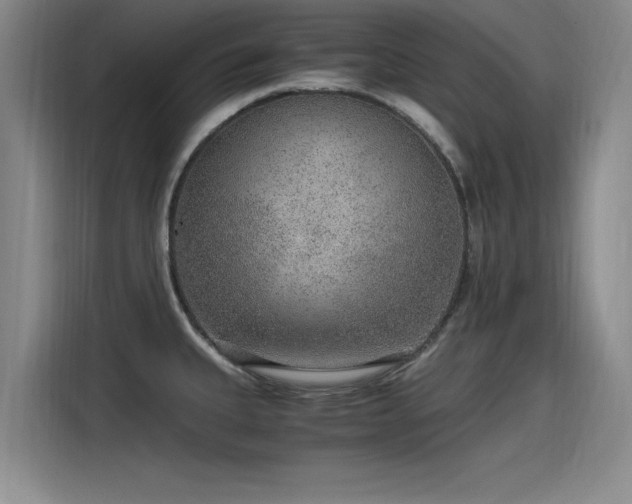 X0000115481335200911131207