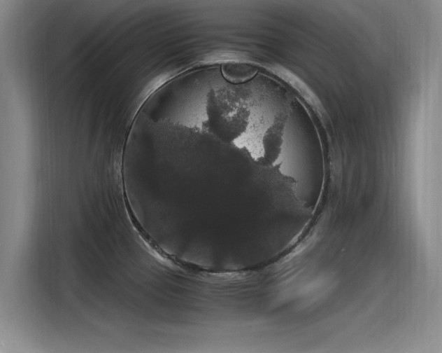 X0000115481337200911131207