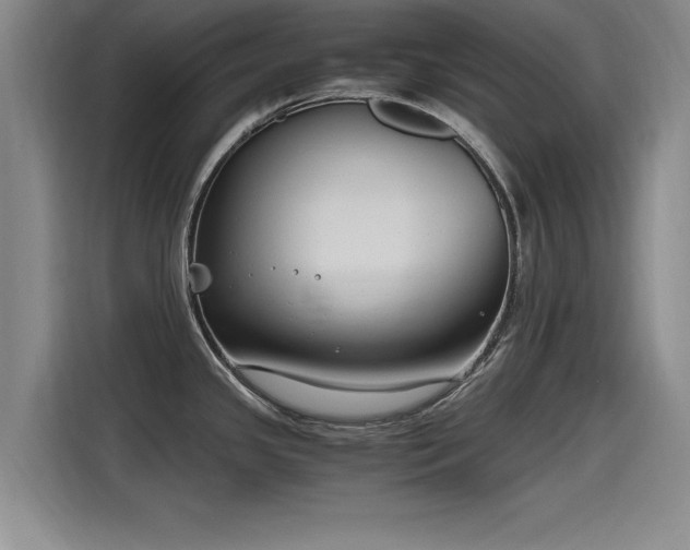 X0000115481341200911131208