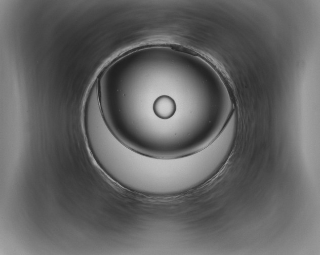 X0000115481342200911131208