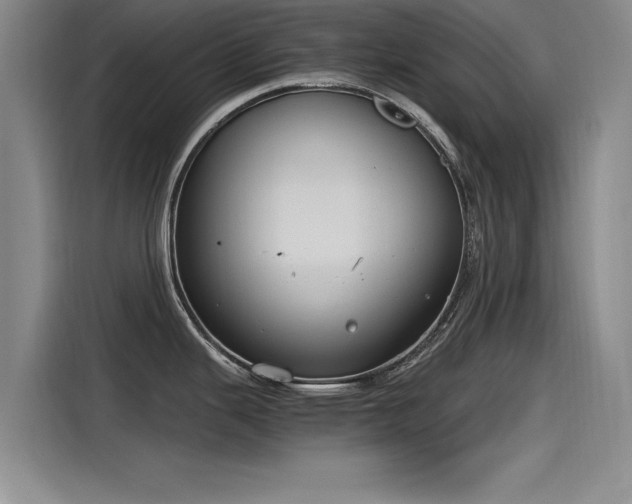 X0000115481343200911131208