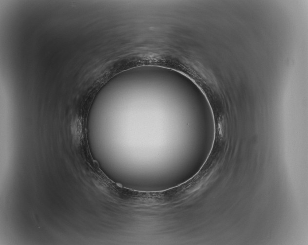 X0000115481347200911131207