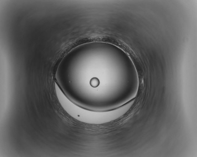 X0000115481348200911131207