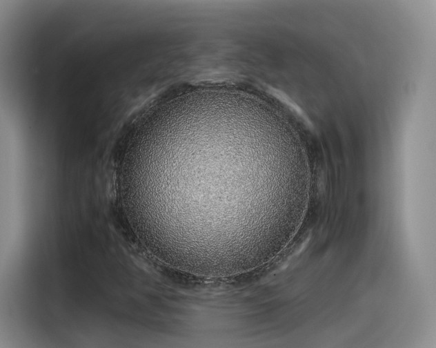 X0000115481350200911131207