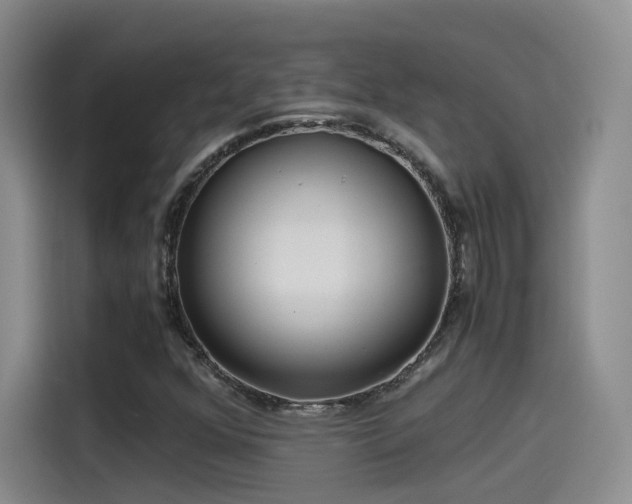 X0000115481352200911131207