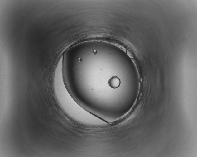 X0000115481353200911131207