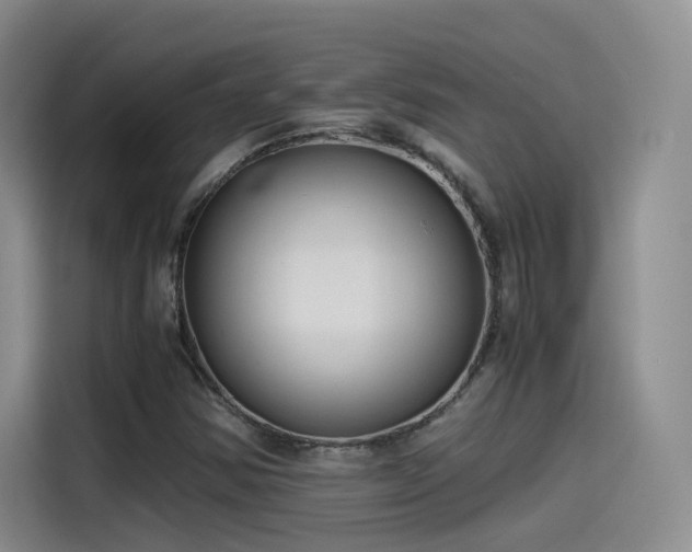 X0000115481354200911131207