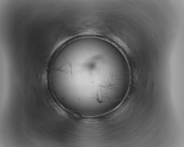 X0000115481356200911131207