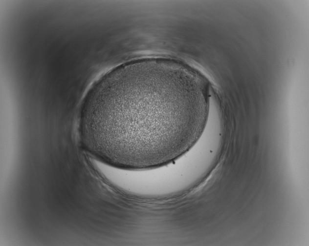 X0000115481357200911131207