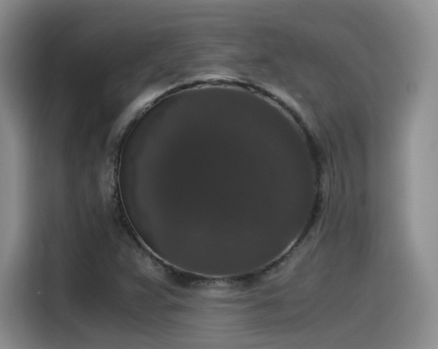 X0000115481359200911131207