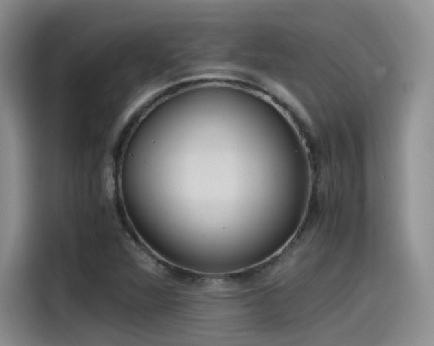 X0000115481360200911131207