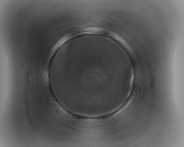 X0000115481362200911131207