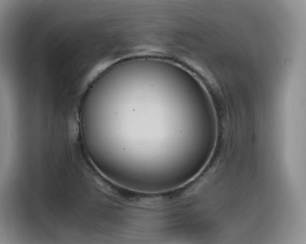 X0000115481363200911131207