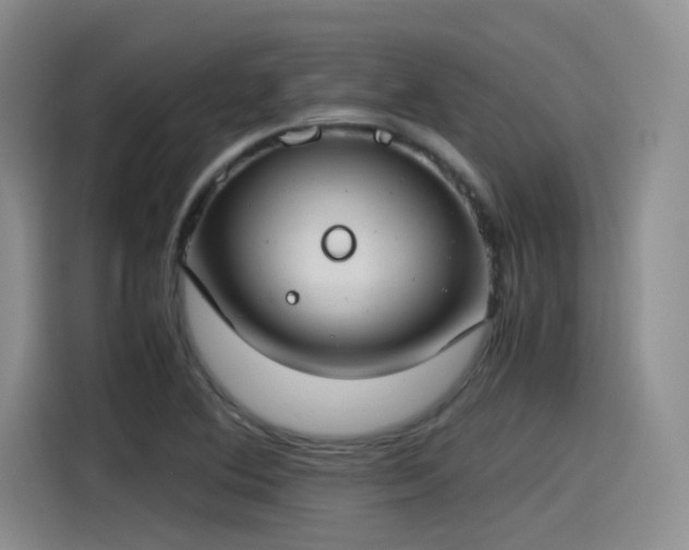 X0000115481364200911131207