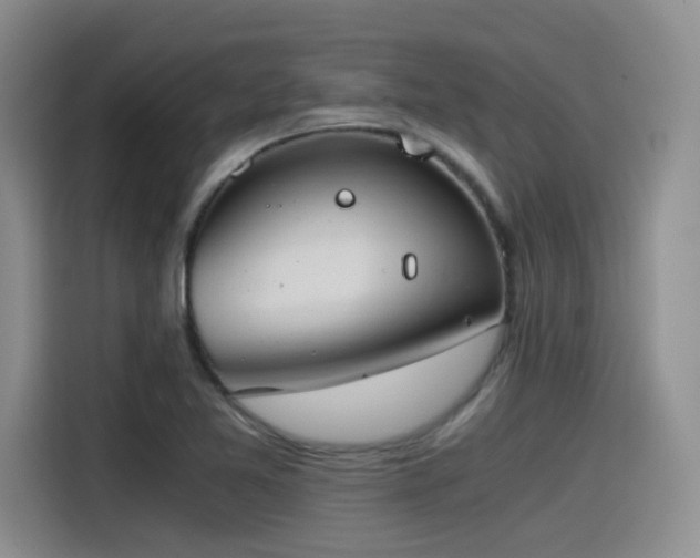 X0000115481365200911131207