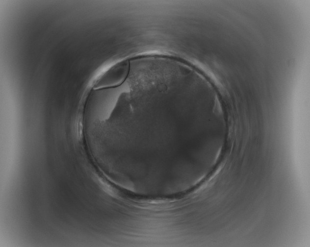 X0000115481367200911131207