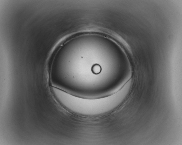 X0000115481368200911131207