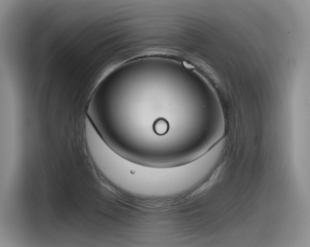 X0000115481369200911131207