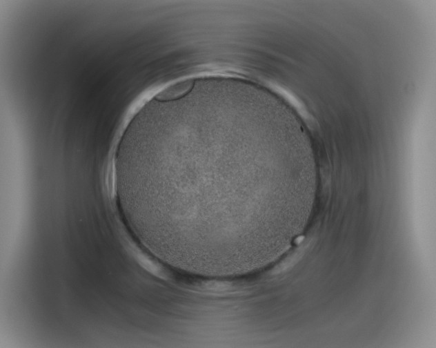 X0000115481371200911131207