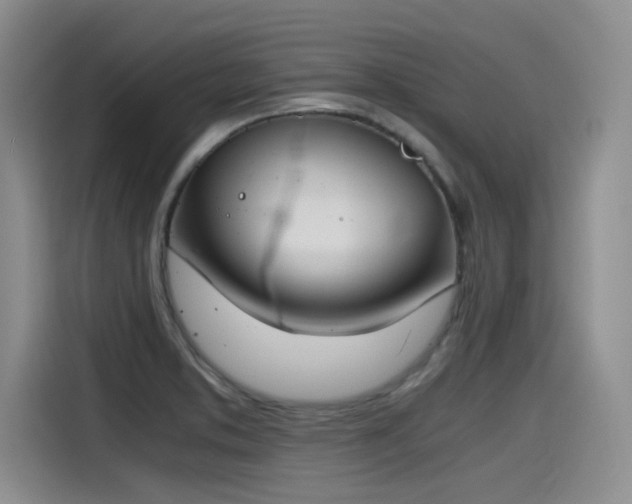 X0000115481373200911131206