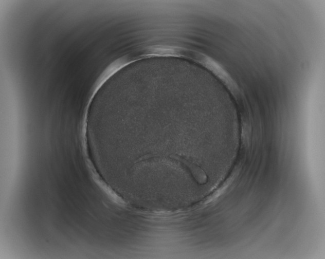 X0000115481378200911131206