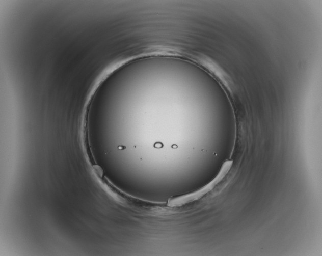 X0000115481379200911131206