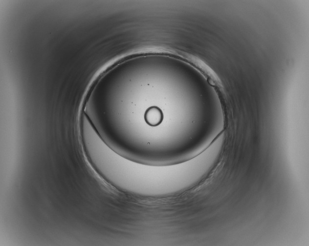 X0000115481380200911131206