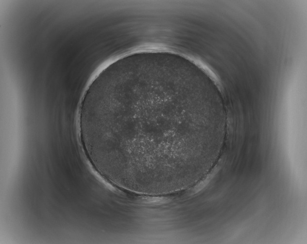 X0000115481382200911131206