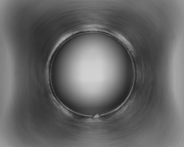 X0000115481384200911131206