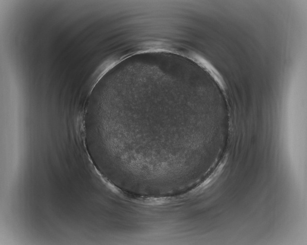 X0000115481385200911131206