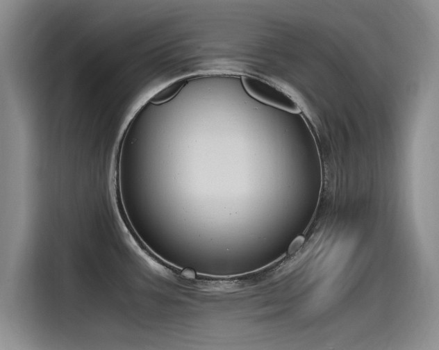 X0000115481387200911131206