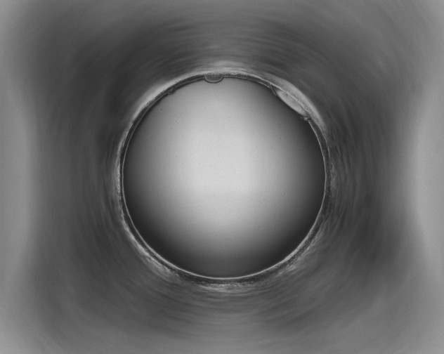 X0000115481388200911131206