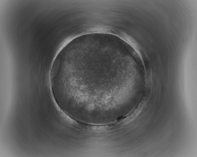 X0000115481389200911131206