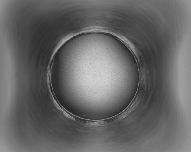 X0000115481390200911131206