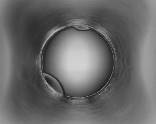 X0000115481392200911131206