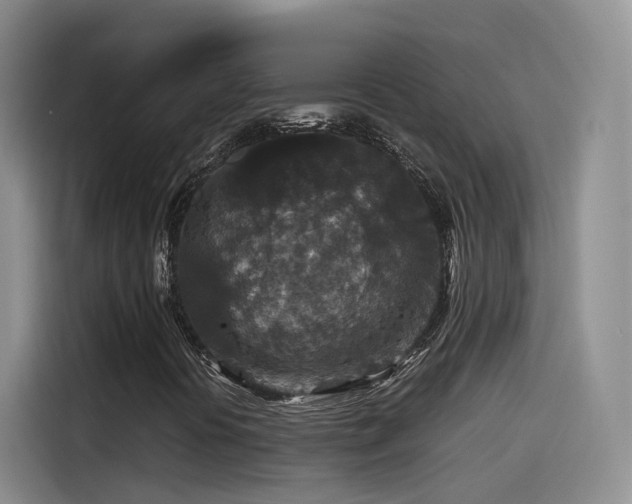 X0000115481394200911131206