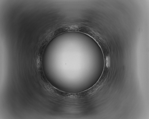 X0000115481395200911131206