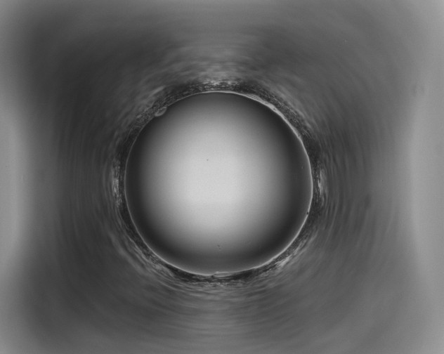 X0000115481396200911131206