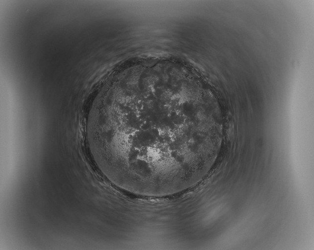 X0000115481397200911131206