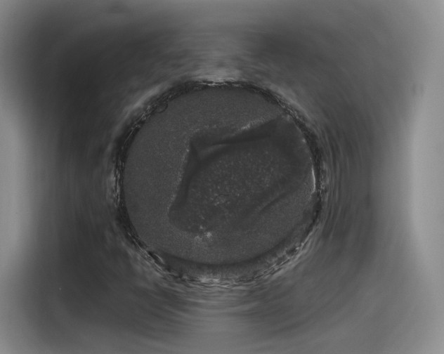 X0000115481398200911131206