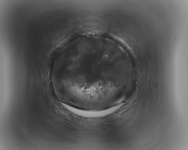 X0000115481399200911131206