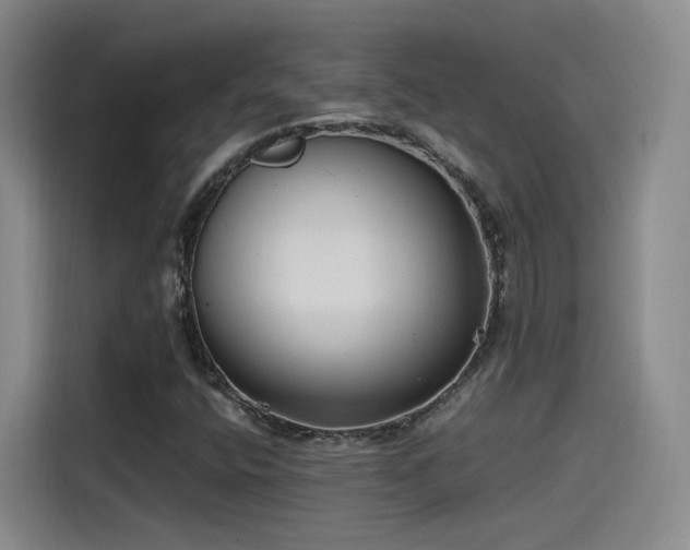 X0000115481400200911131206