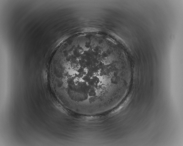 X0000115481401200911131206