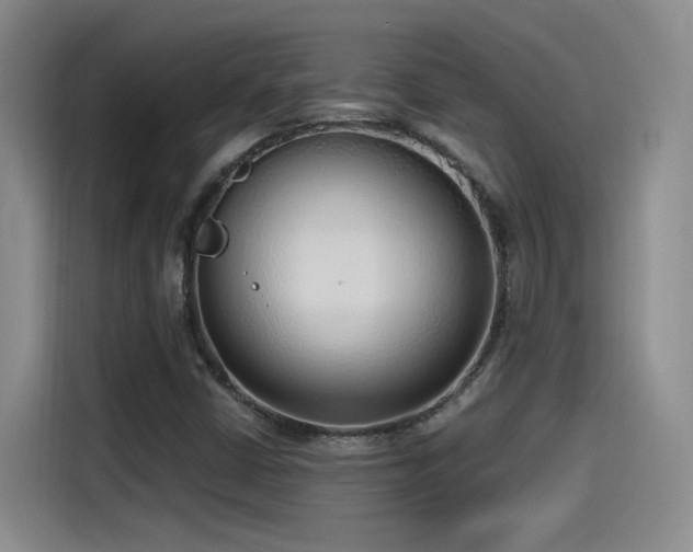 X0000115481402200911131206