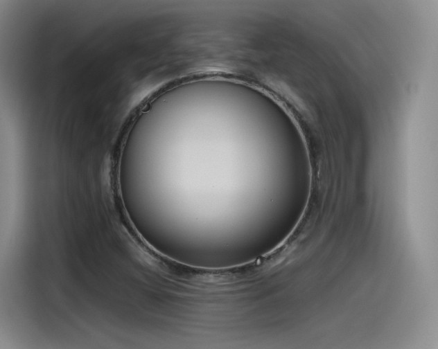 X0000115481404200911131206