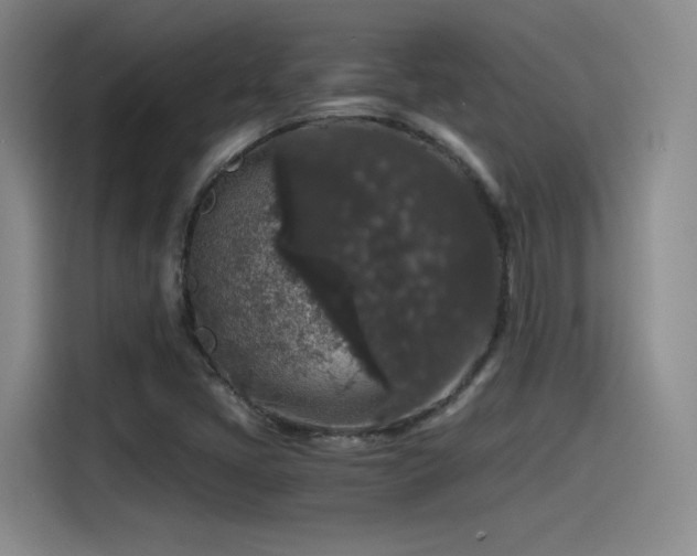 X0000115481405200911131206